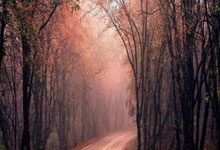 拉诺基亚:现在尤文深陷困境且无冠军球员,球队中无人能力挽狂澜.