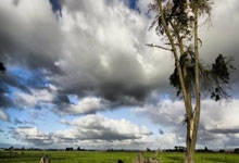 奇异果体育官网:2025年“中超+亚冠” 五粮液文化体育中心将迎超密赛程.