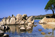 奇异果体育官网：[图]NBA常规赛：老鹰134-102黄蜂 特雷杨31分.